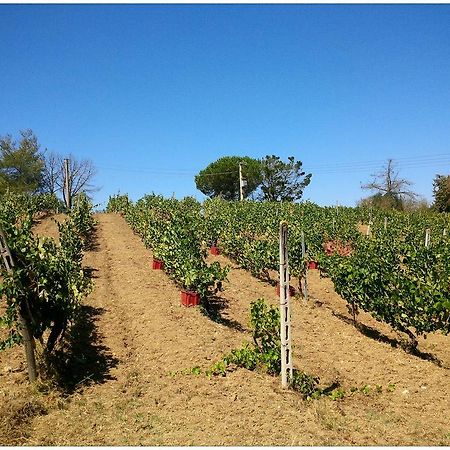 Agriturismo San Giusto Montiano  Extérieur photo