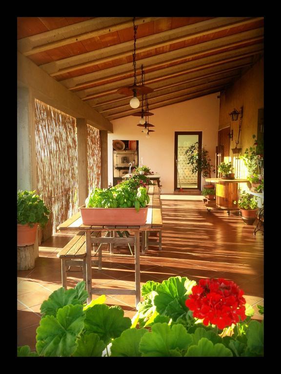 Agriturismo San Giusto Montiano  Extérieur photo