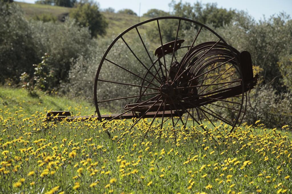 Agriturismo San Giusto Montiano  Extérieur photo